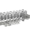 Ventilfjädersats 2.5L TFSI Audi RS3 & TTRS Sports Valve Springs Set SUPERTECH