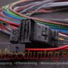 MaxxECU V1/RACE/PRO flying lead wiring harness connector 1
